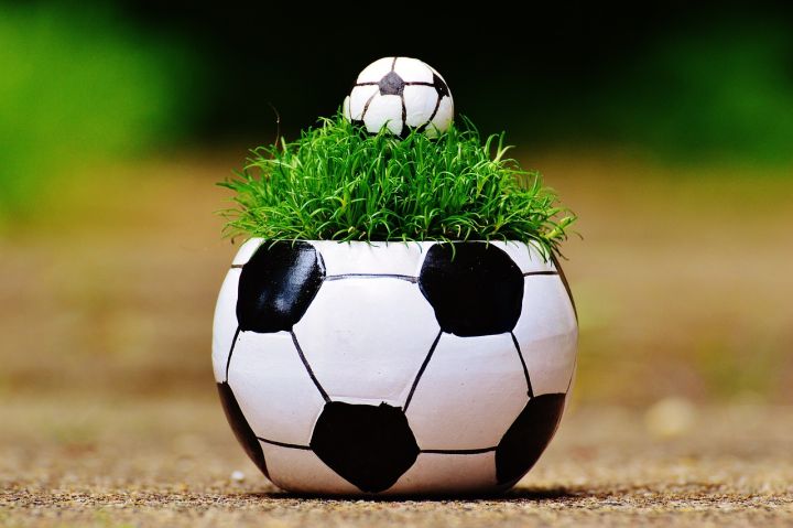 european-championship-1435811_1280.jpg