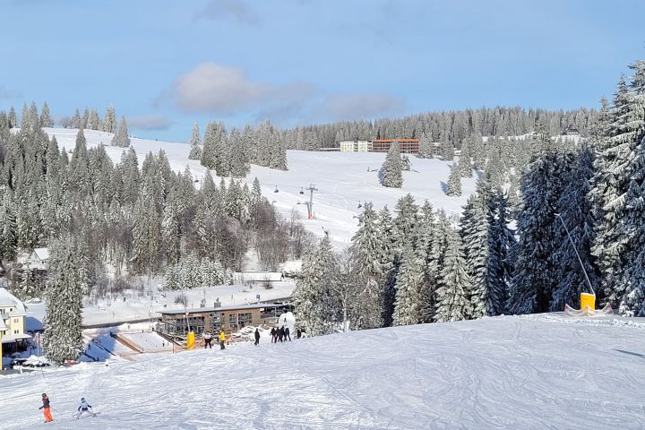 feldberg_13_1.jpg