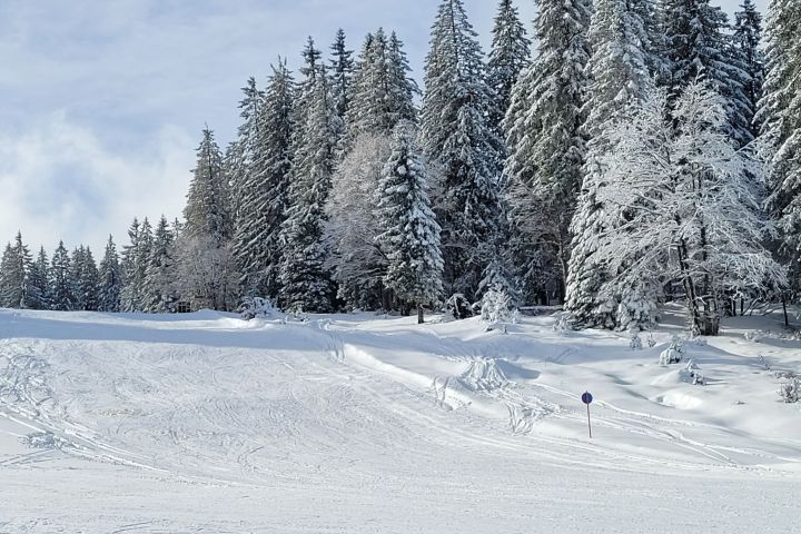 feldberg_16_1.jpg