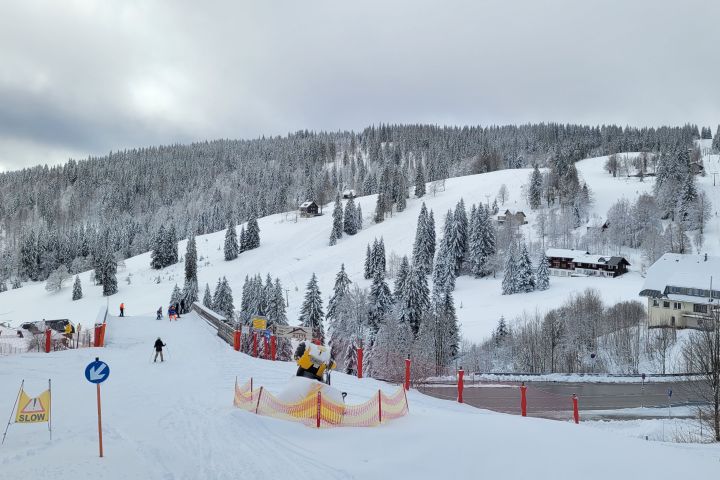 feldberg_19_1.jpg
