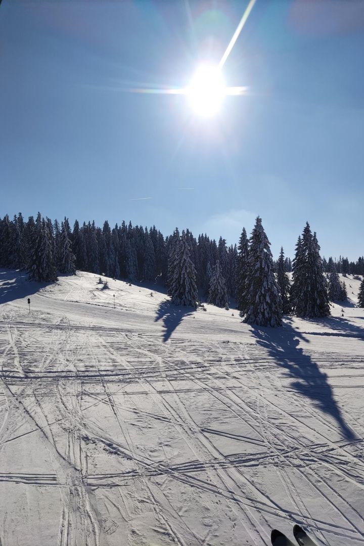 feldberg_1_1.jpg