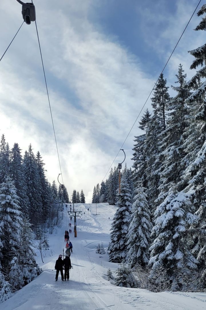 feldberg_31.jpg