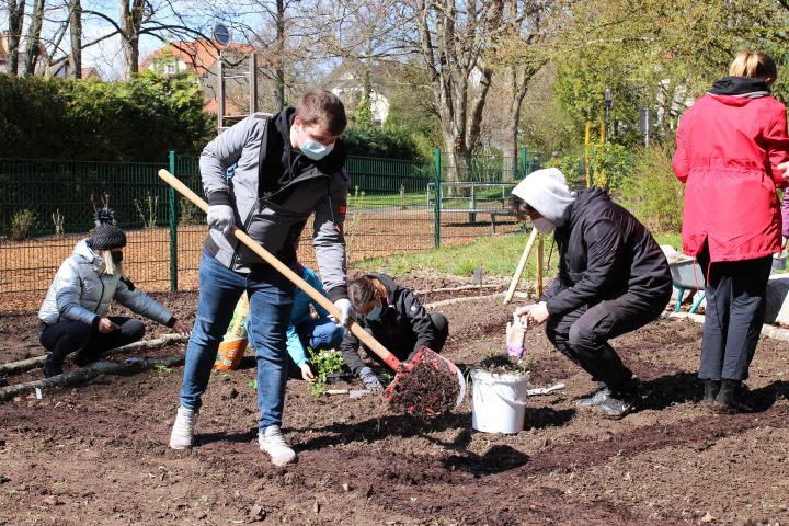 garten_2.jpg