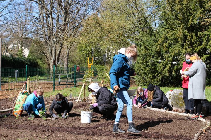 garten_3.jpg
