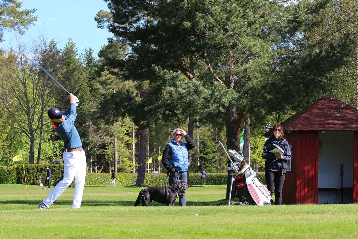 golf_jtfo_6.jpg