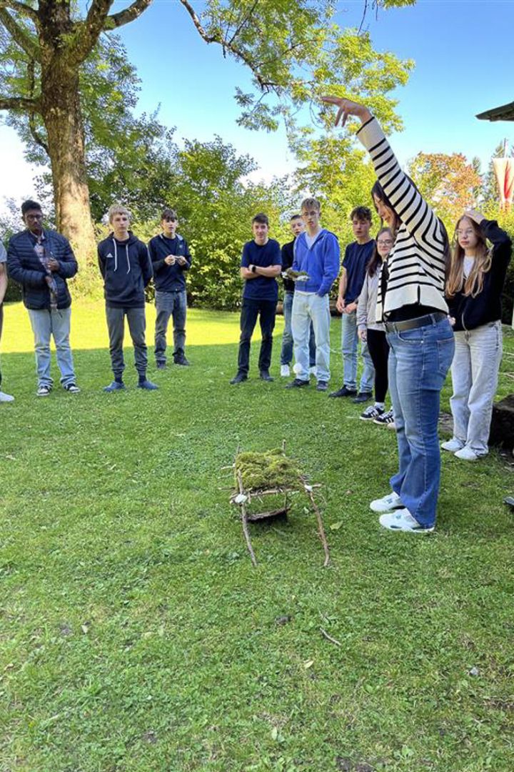 hirzwald_9.jpg