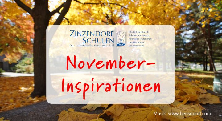 Neue Video-Serie mit Inspirationen für jeden Monat