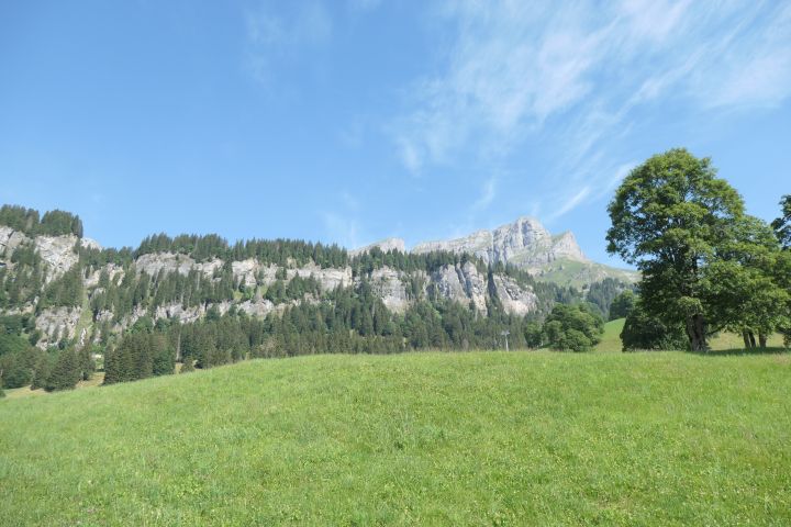 p1015978.jpg