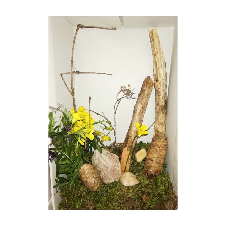 quadrat_fruehling_3_niclaas_ruppert.jpg