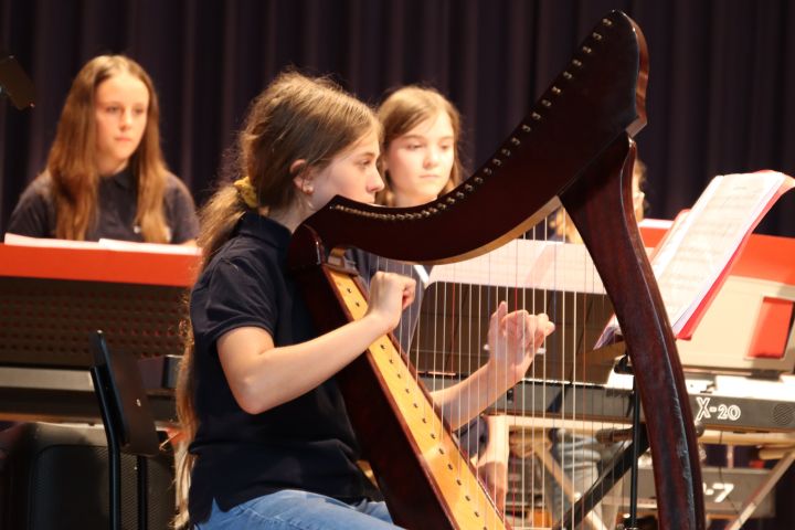 serenade_11.jpg