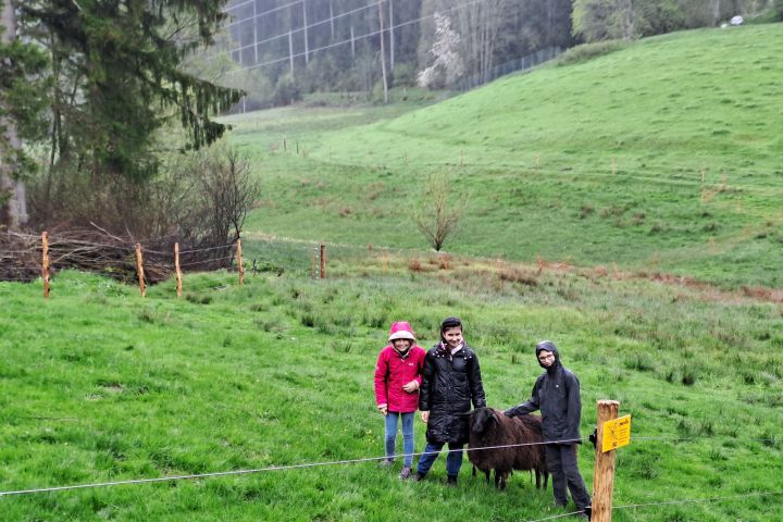 untermuehlbachhof_8.jpg