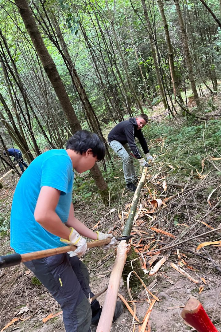 waldlandheim_6.jpg
