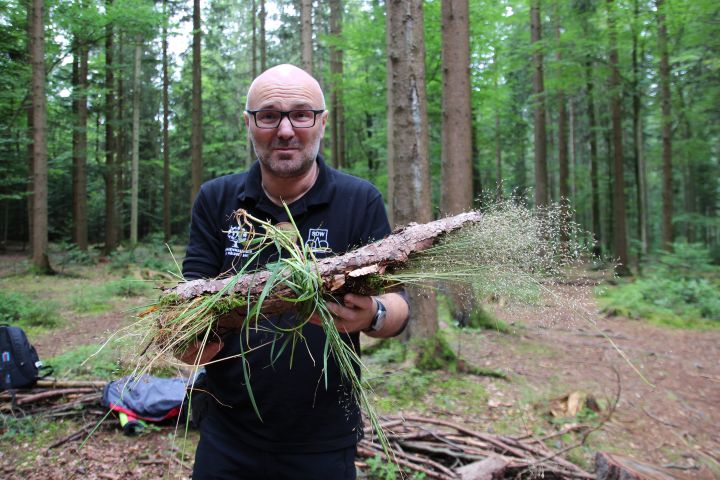 waldmobil_3.jpg
