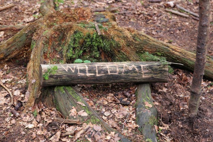 waldmobil_6.jpg