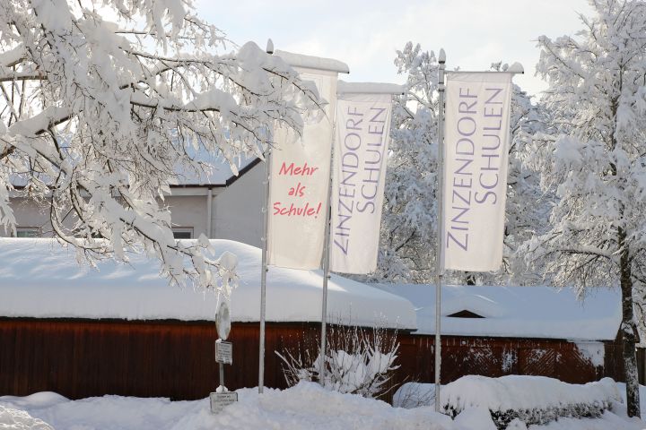 winter_1.jpg