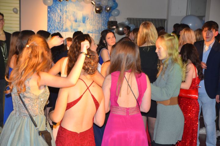 winterball_8.jpg