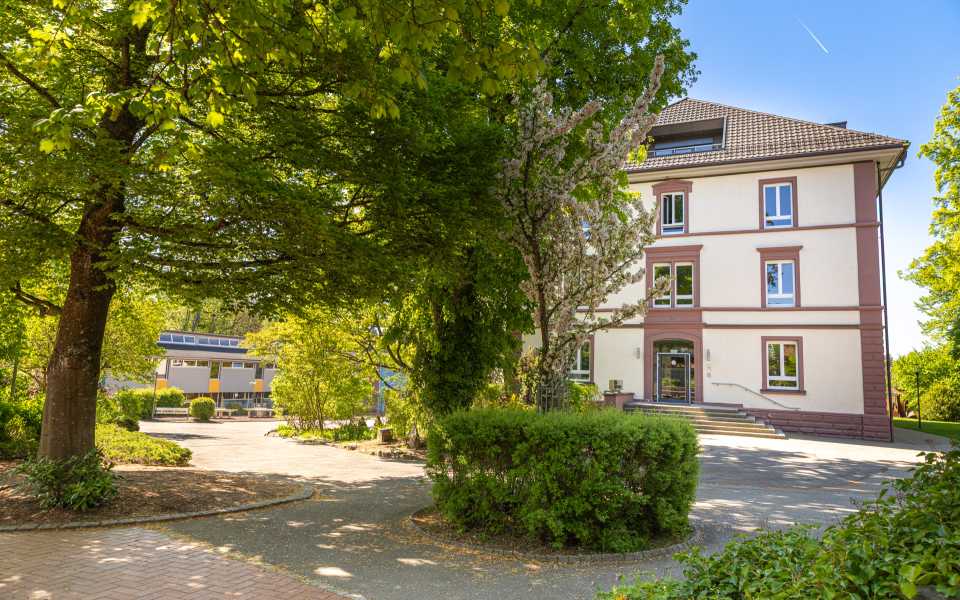 Infos zu den Projekttagen