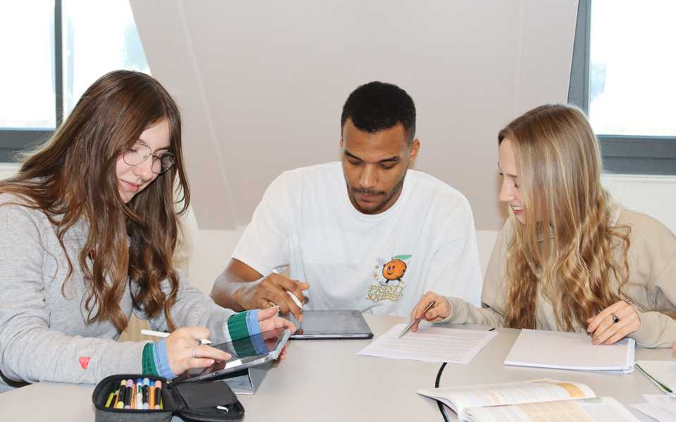 Sozial- und gesundheitswissenschaftliches Gymnasium (SGG) - Profil Soziales